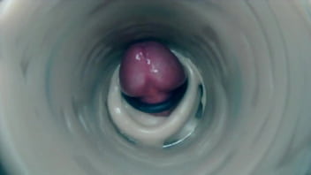 life under cam sex