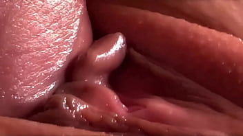 furry porn sex videos