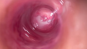 what is the world record for sex