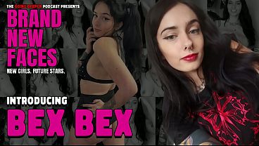 sonic has sex with amy