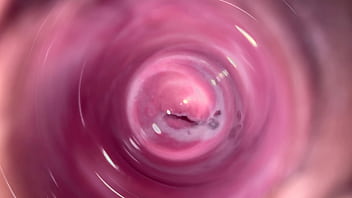 camera inside vagina during sex