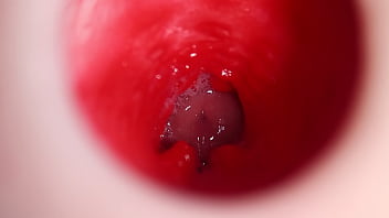 penis close up