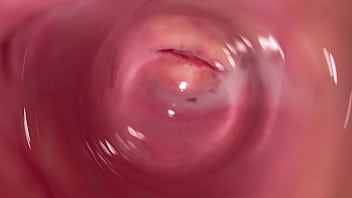 sex camera inside the vagina
