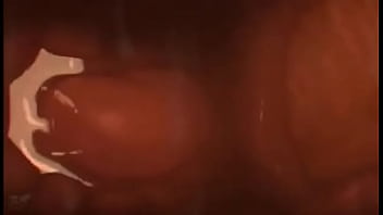 man sex with cow
