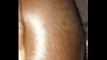 xtube bear