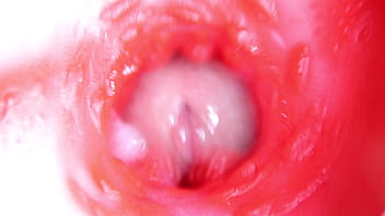 camera inside vagina