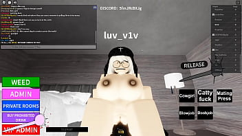 24 video net