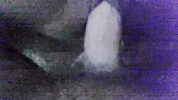 big fat ass hd