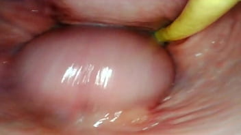 balls inside pussy
