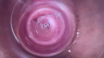 dildo in the vagina